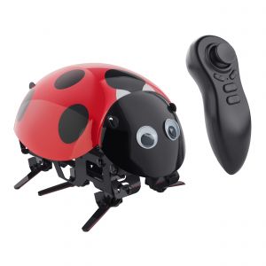 Kit robot catarina para armar