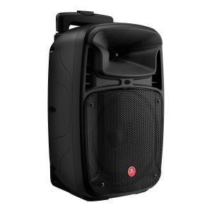 Parlante de 8" 1,100 WPMPO profesional Bluetooth con batería recargable